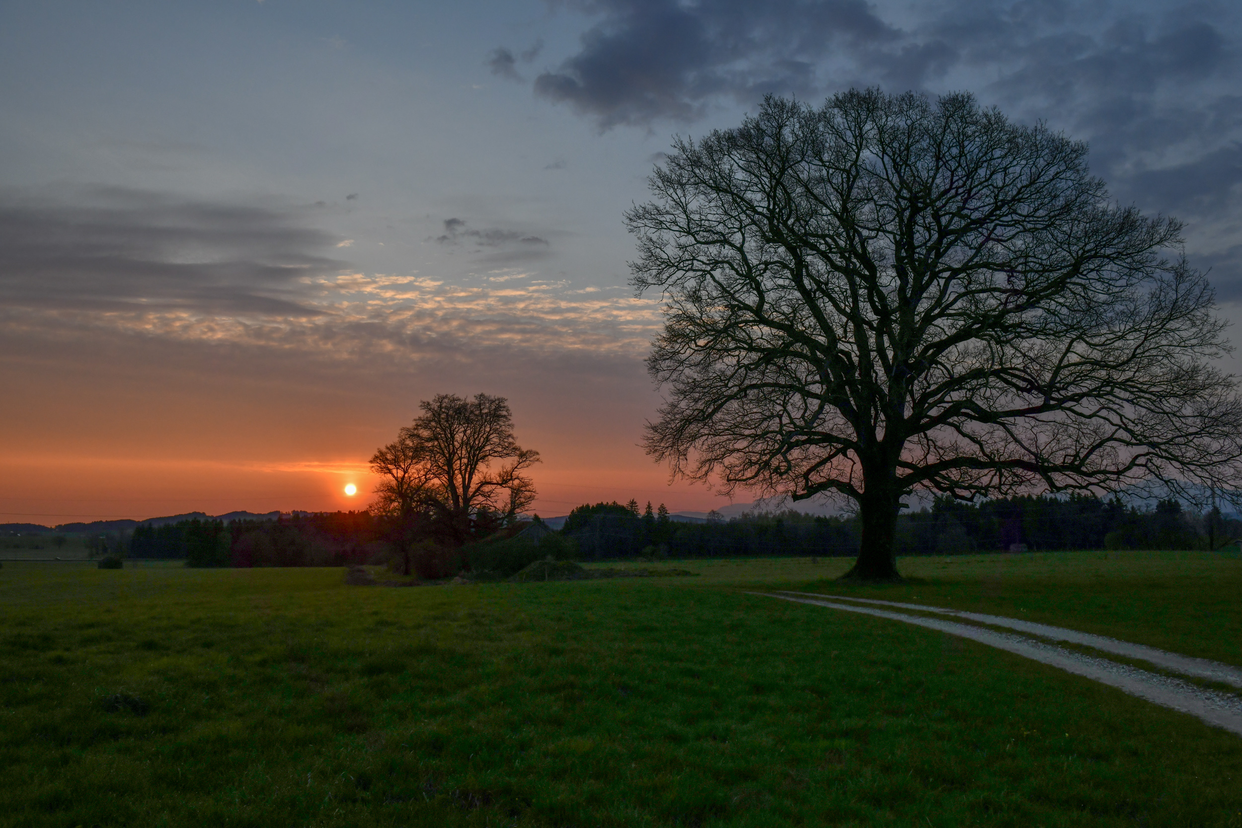 Sonnenaufgang südlich Spatzenhausen