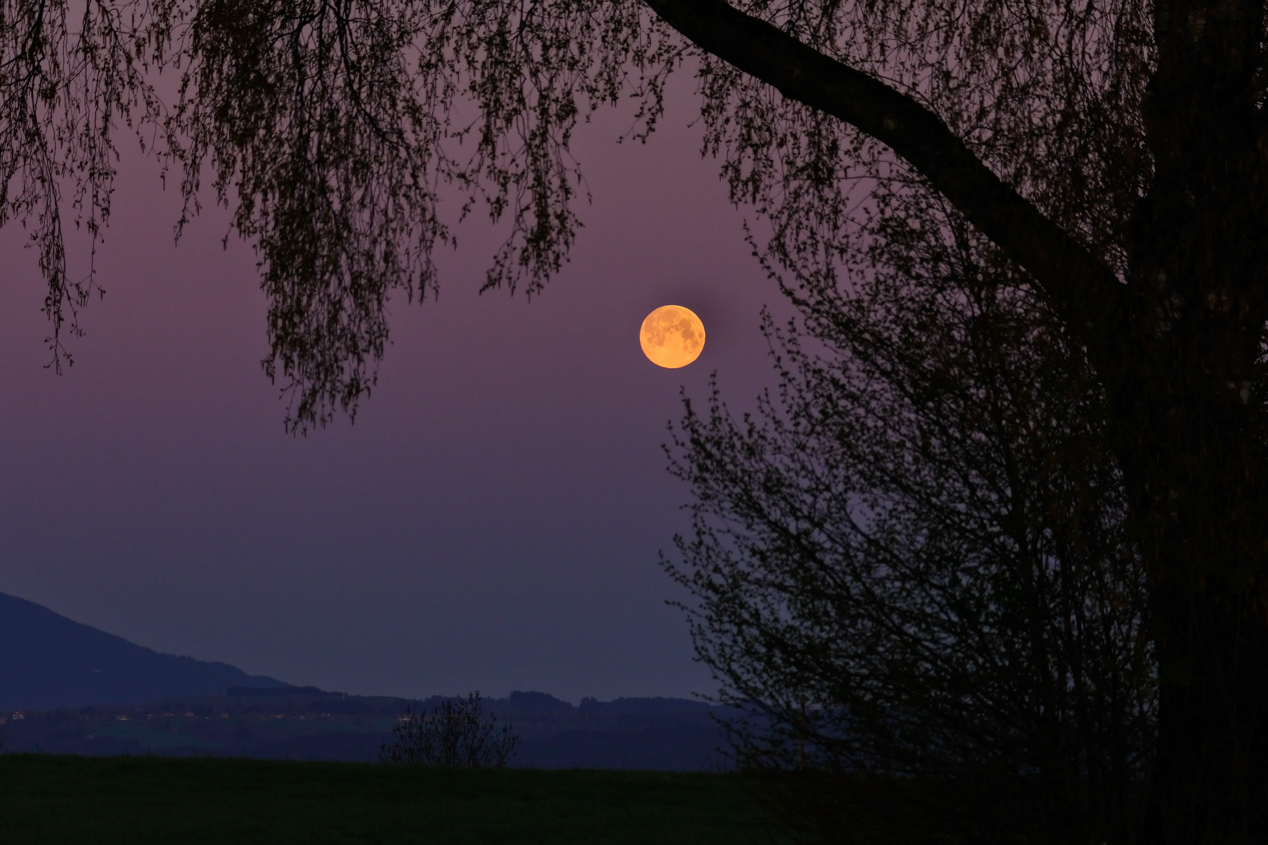 Morgenmond bei Spatzenhausen