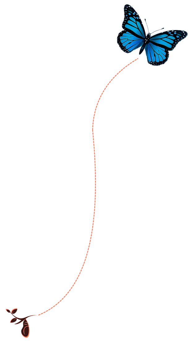 MT (1)_edited.png