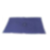 TRAPEADOR DE FELPA DOBLE 45X75CM APROX - AZUL