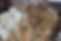 cinnamon-5469779_1920.jpg