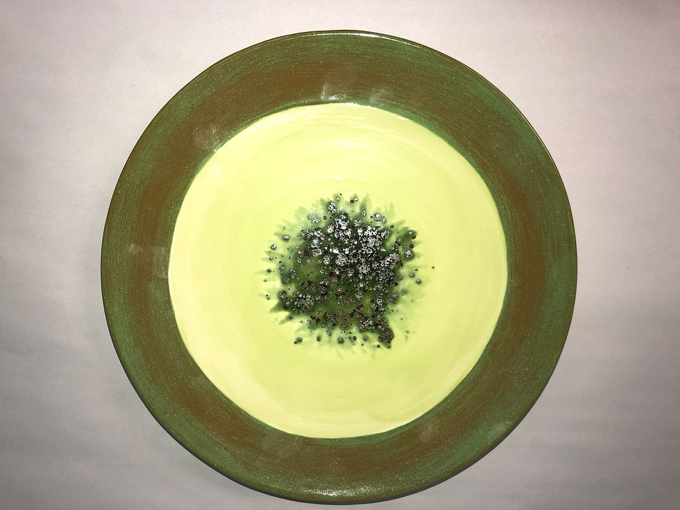 Thumbnail: Large Rimmed Platter 13"