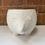 Thumbnail: Hedgehog Planter
