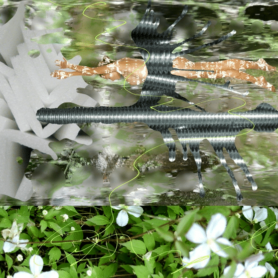 GIF Editions-high.gif