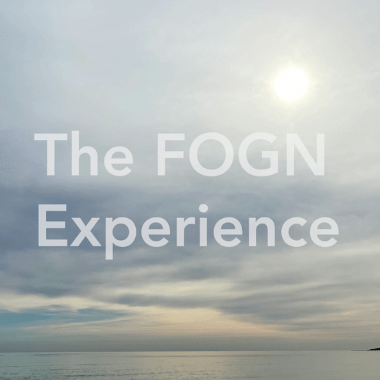 GIF The FOGN Experience-high.gif
