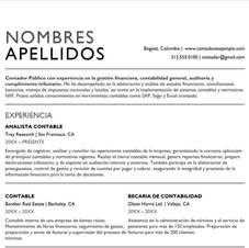 Formato Hoja de Vida Contador