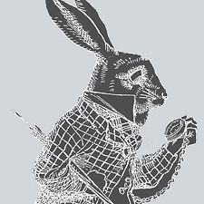 black-rabbit_edited_edited_edited.jpg