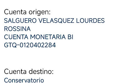 Ejemplo Boleta.jpg