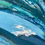 Thumbnail: SEA WAVE