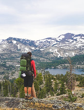 Nature Explorer