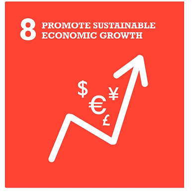 Promote Sustainable Economic Growth