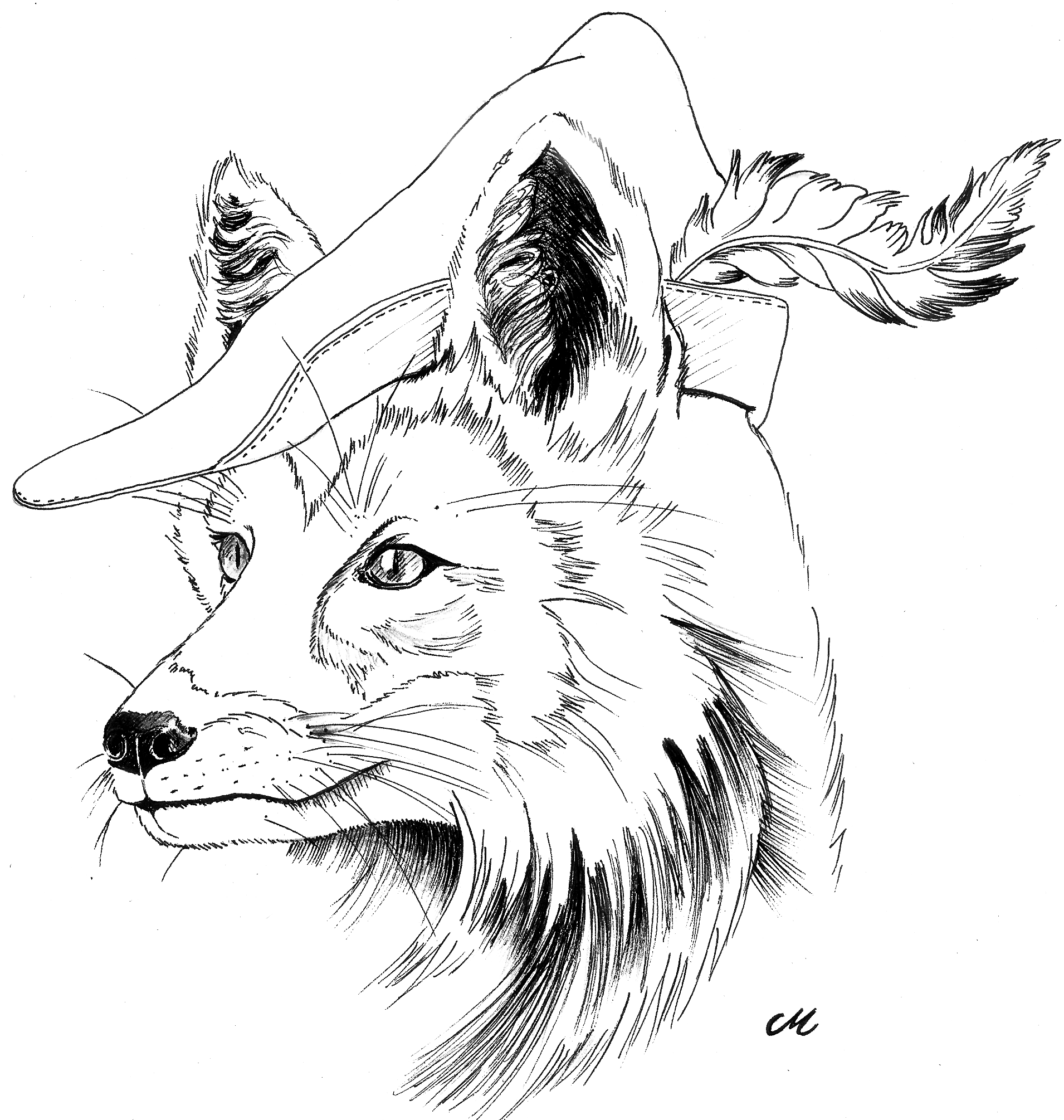Top_003