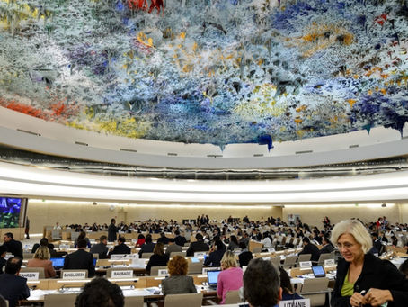 Human Rights Council Establishes Fact-Finding Mission on Sudan