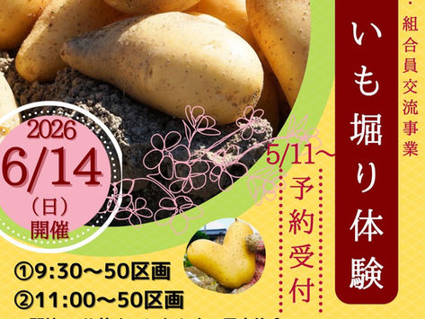 2026じゃがいも掘り体験★お知らせ★