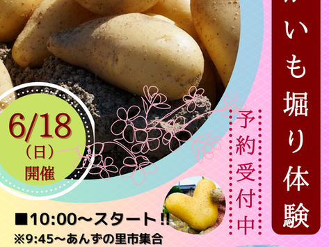 2023じゃがいも堀り体験★募集中