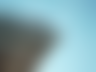 The Ultimate Guide to Gutter Maintenance: Protect Your Home and Save Money