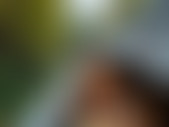 Common Rain Gutter Problems and How to Fix Them