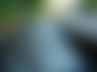 Boost Your Home's Health with Regular Gutter Cleaning Tips