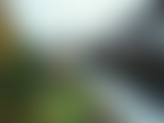 Essential Rain Gutter Maintenance Tips for Homeowners