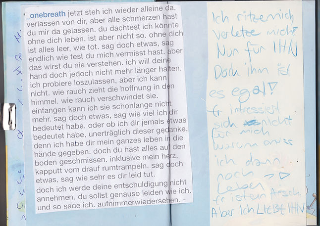 tagebuchz.jpeg