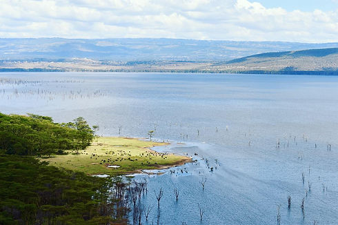 lake nakuru.jpg