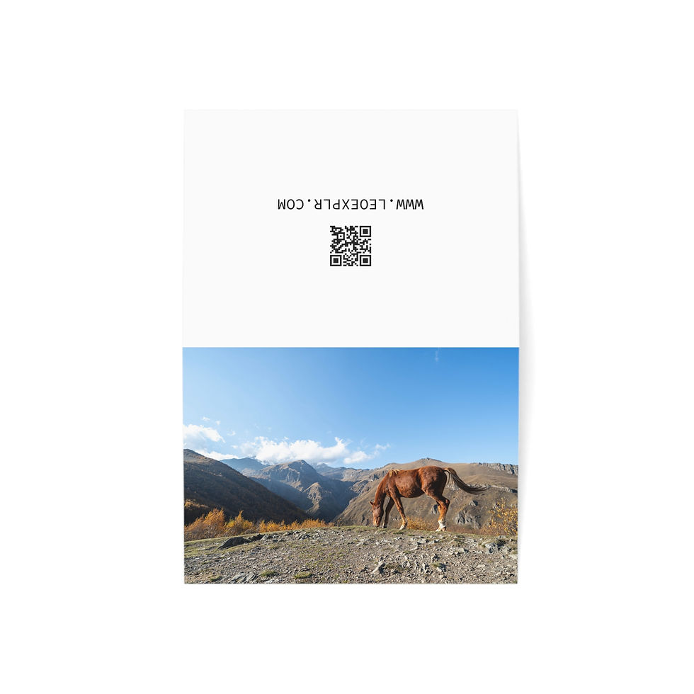 Thumbnail: Horse in the Caucasus Mountains, Georgia | Greeting Card - Pack of 1, 10, 30, 50