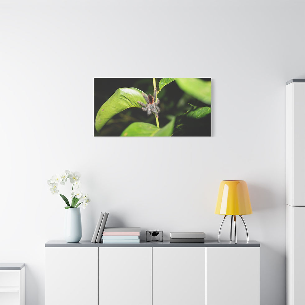Thumbnail: Canvas print of tiny white flower on green leaves above cabinet.