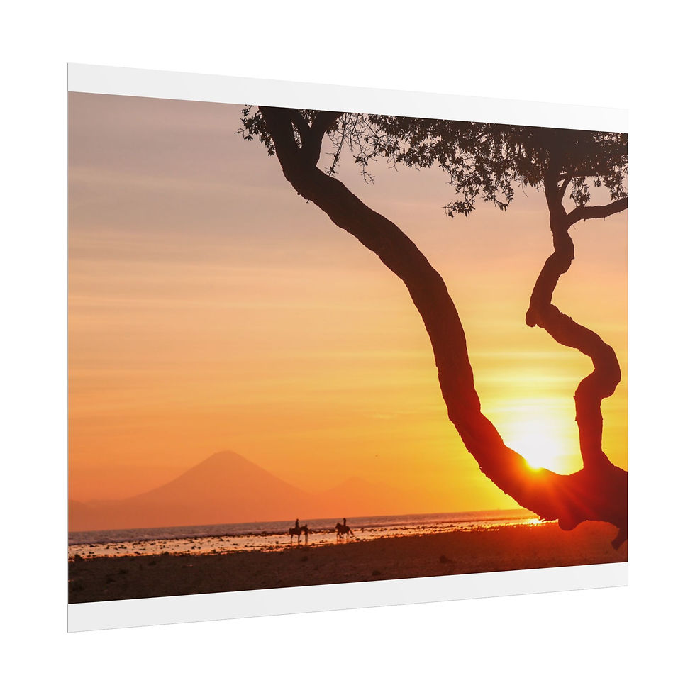 Thumbnail: Golden sunset silhouettes gnarled tree branch, distant mountain, and people on beach.