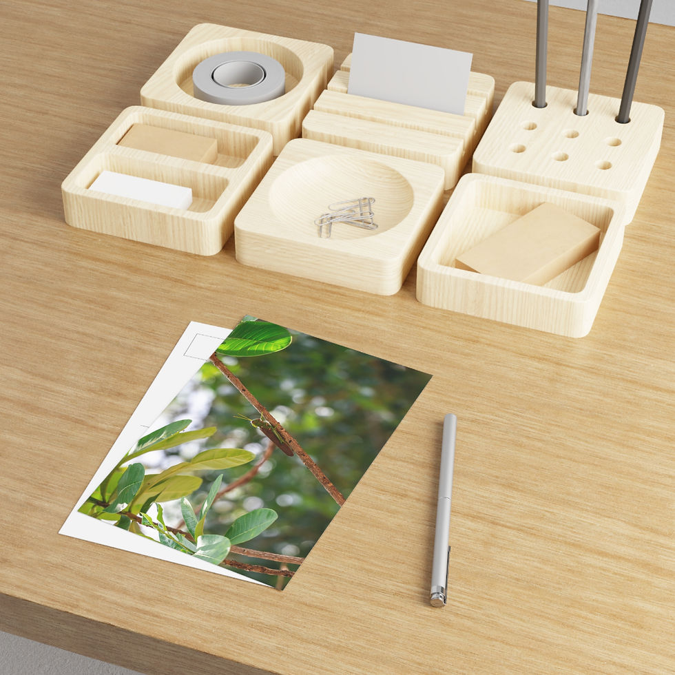 Thumbnail: Fine Art Postcards | Amazon Rainforest Grasshopper - Wildlife Themed Card