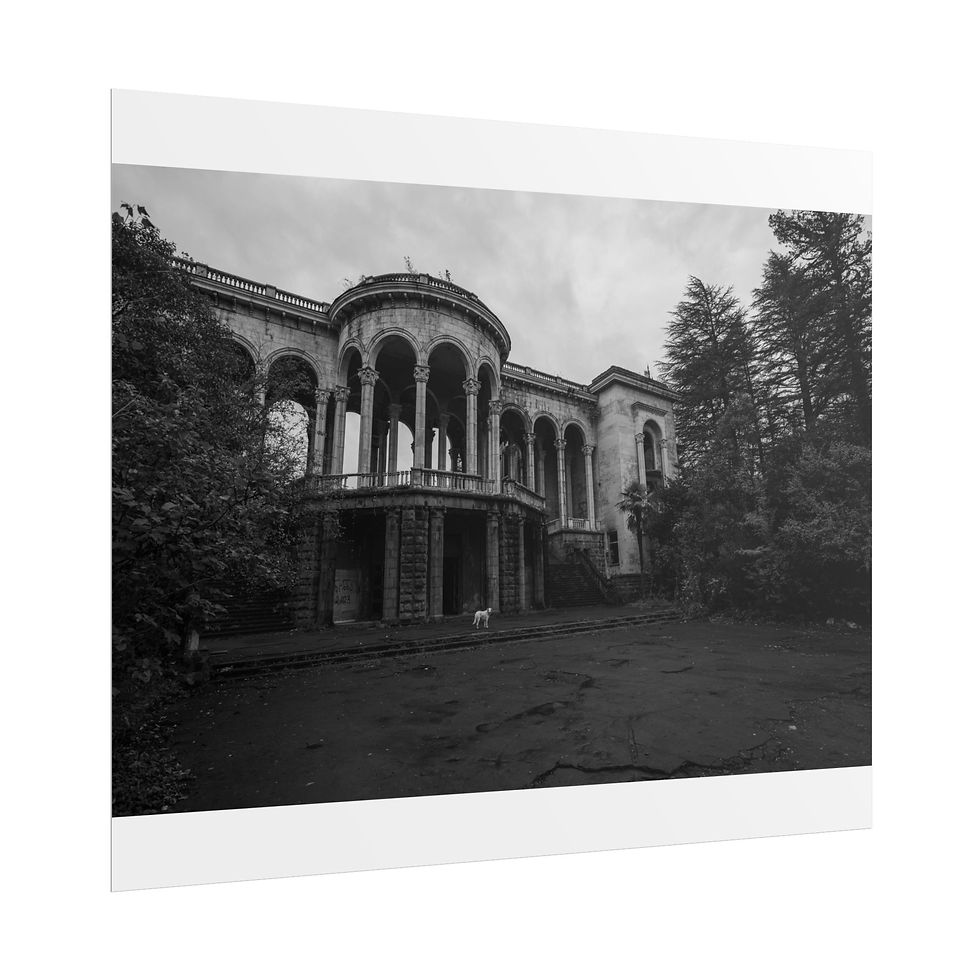 Thumbnail: Dilapidated grand mansion with arched facade, surrounded by trees, black and white.