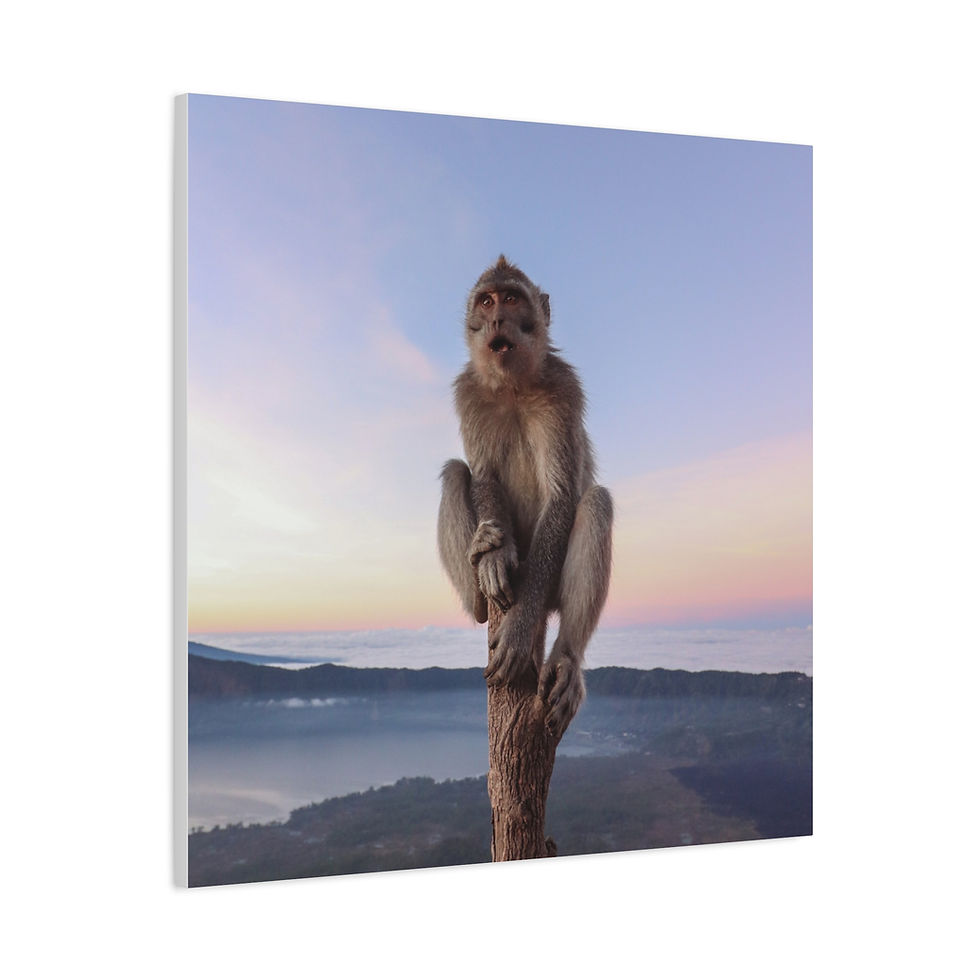 Thumbnail: Monkey sitting on a tree stump looking at a misty landscape at twilight.