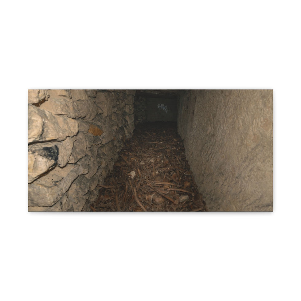 Thumbnail: Dark, narrow stone tunnel with debris on floor, leading into darkness.