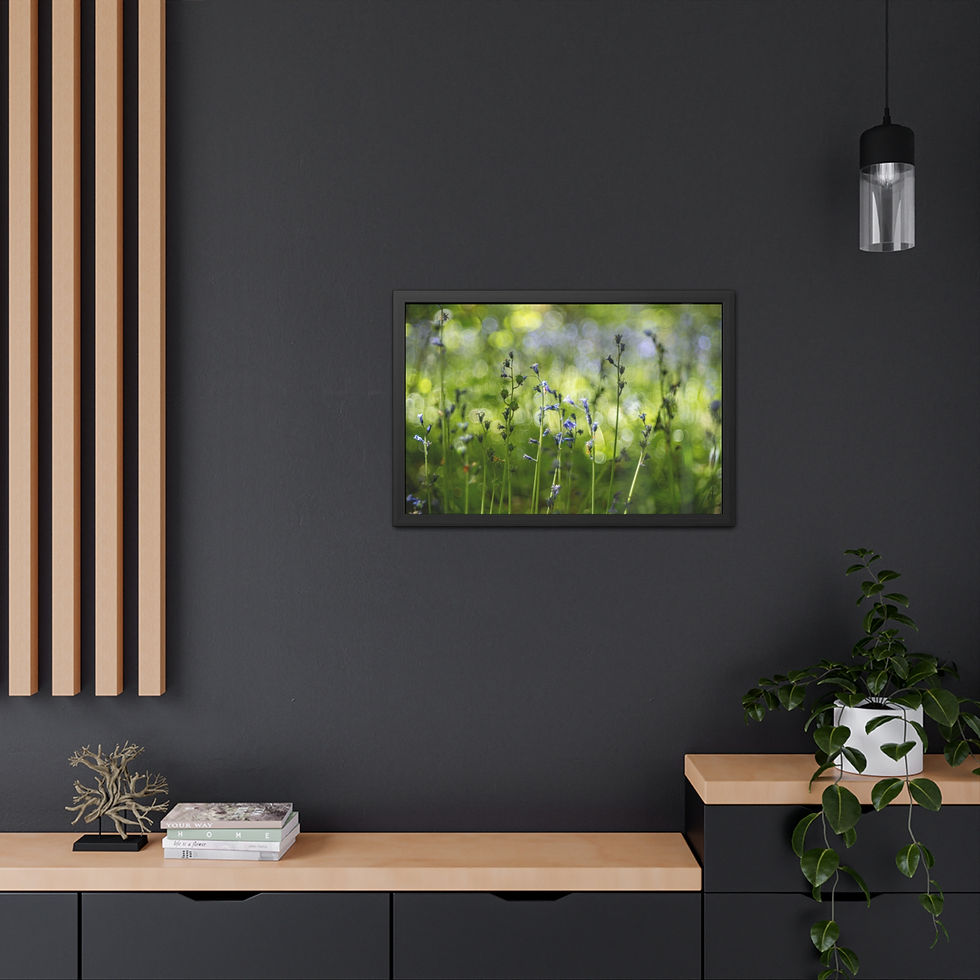 Thumbnail: Bluebells Framed Print | Laughton Woods East Sussex | Woodland Flower Wall Art