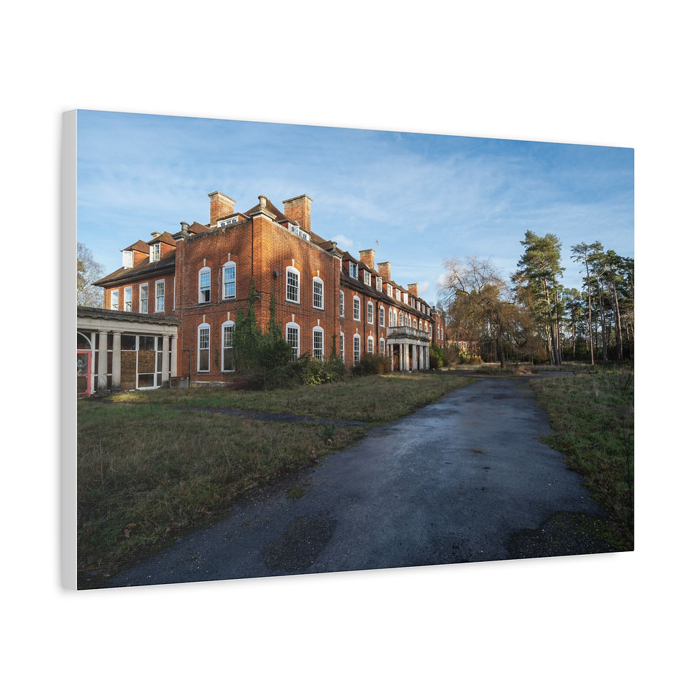 Thumbnail: Large, abandoned red brick building, long driveway, and bare winter trees.