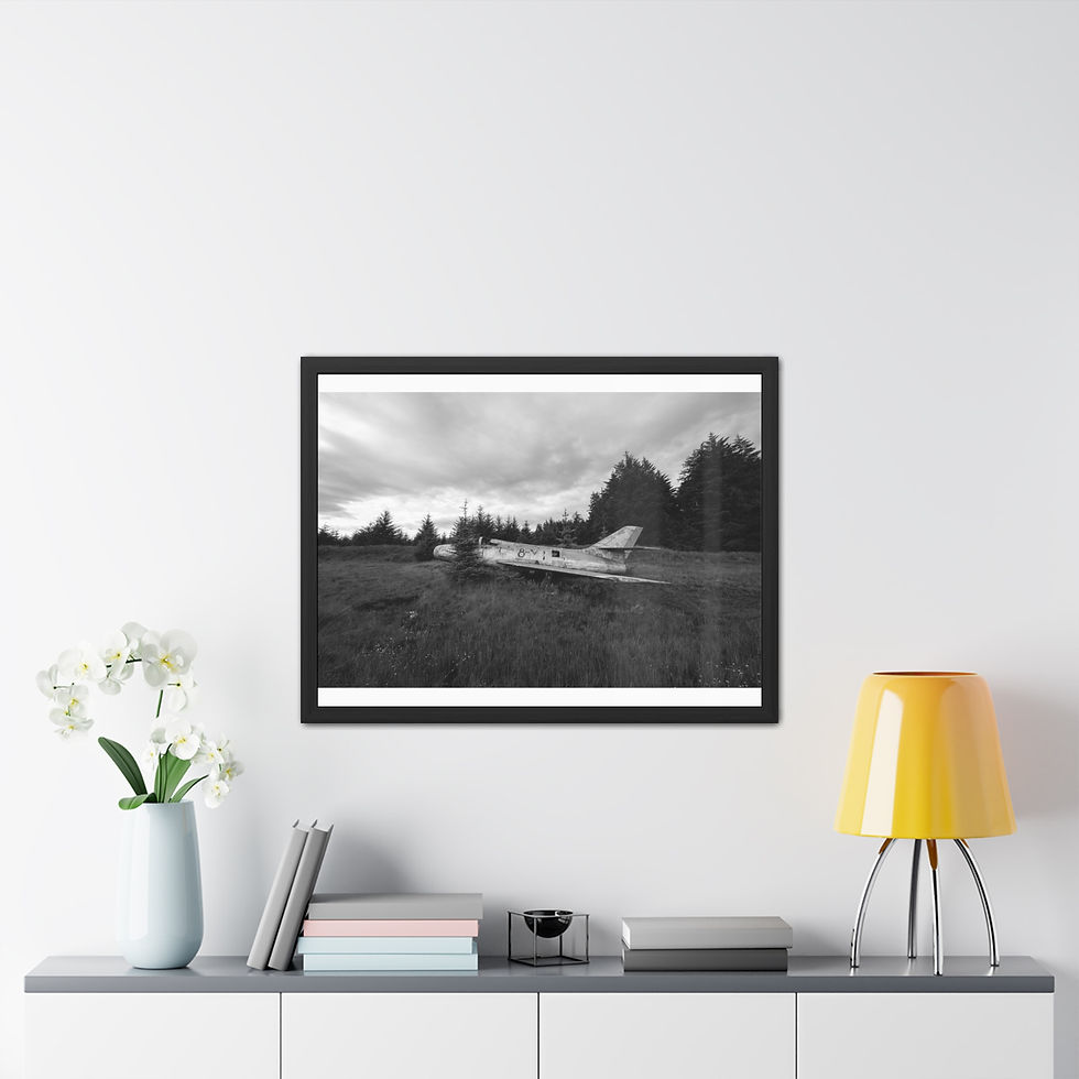 Thumbnail: Framed black and white photograph of fallen log in forest, cloudy sky.