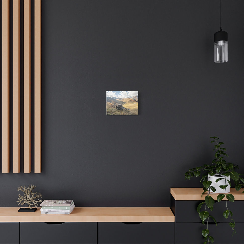 Thumbnail: Canvas print of dark dog in an expansive mountain landscape scene.