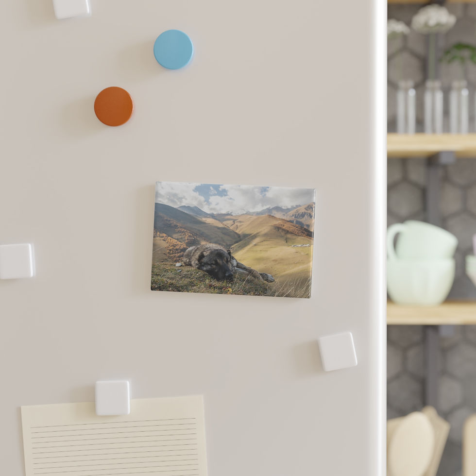 Thumbnail: Scenic magnet displaying expansive mountain range with green slopes, cloudy sky.