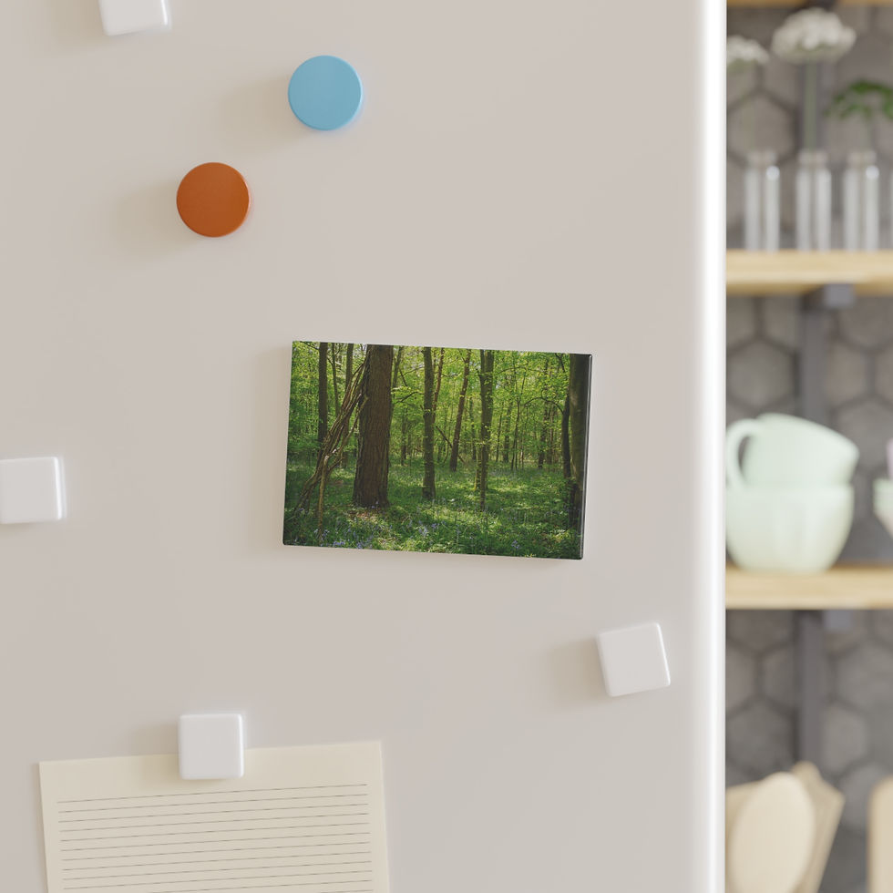 Thumbnail: Bluebell Woodland Magnet | Laughton Woods East Sussex | Forest Photo Decor