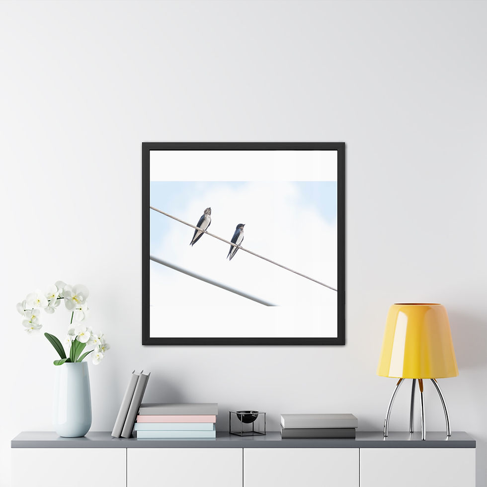 Thumbnail: Framed art print shows two birds on a wire, white wall decor.