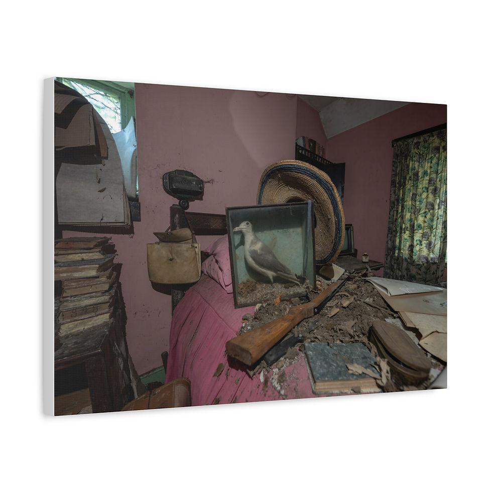 Thumbnail: Abandoned, dusty room with taxidermy bird, rifle, debris, and pink walls.