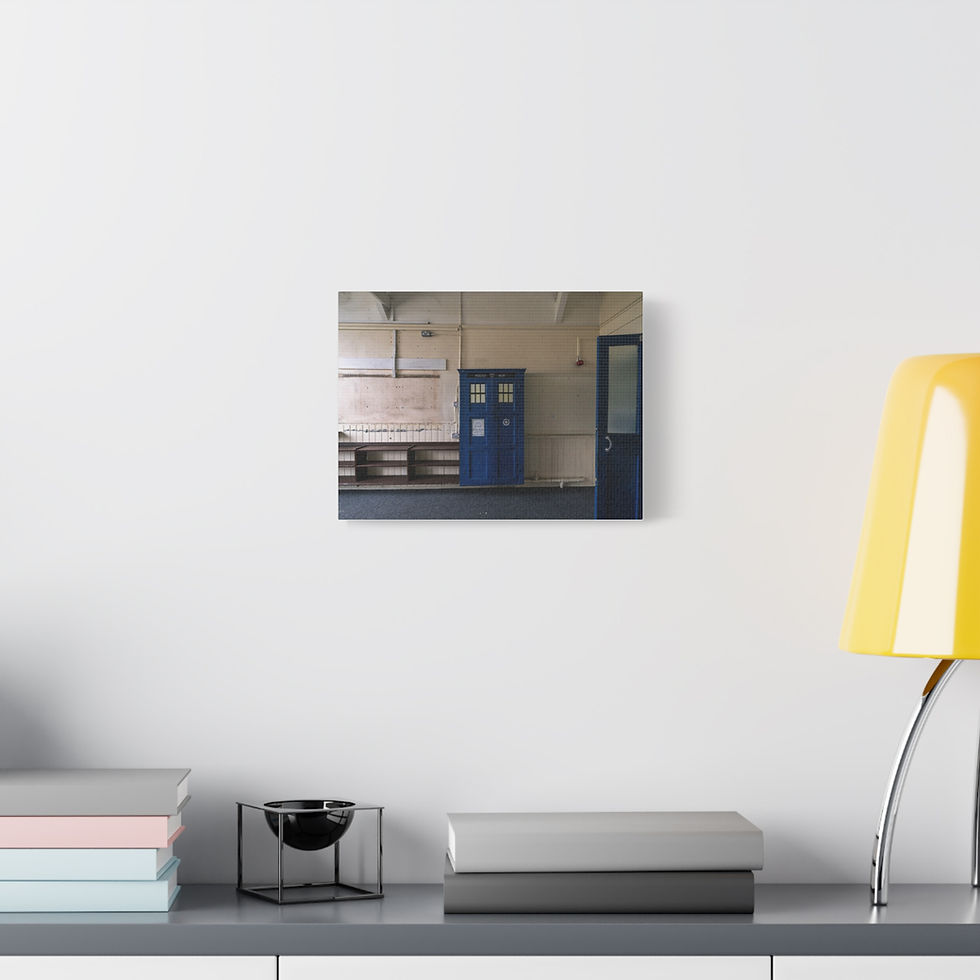 Thumbnail: Canvas Print | TARDIS Style Cupboard | Abandoned Classroom | Unique Wall Art