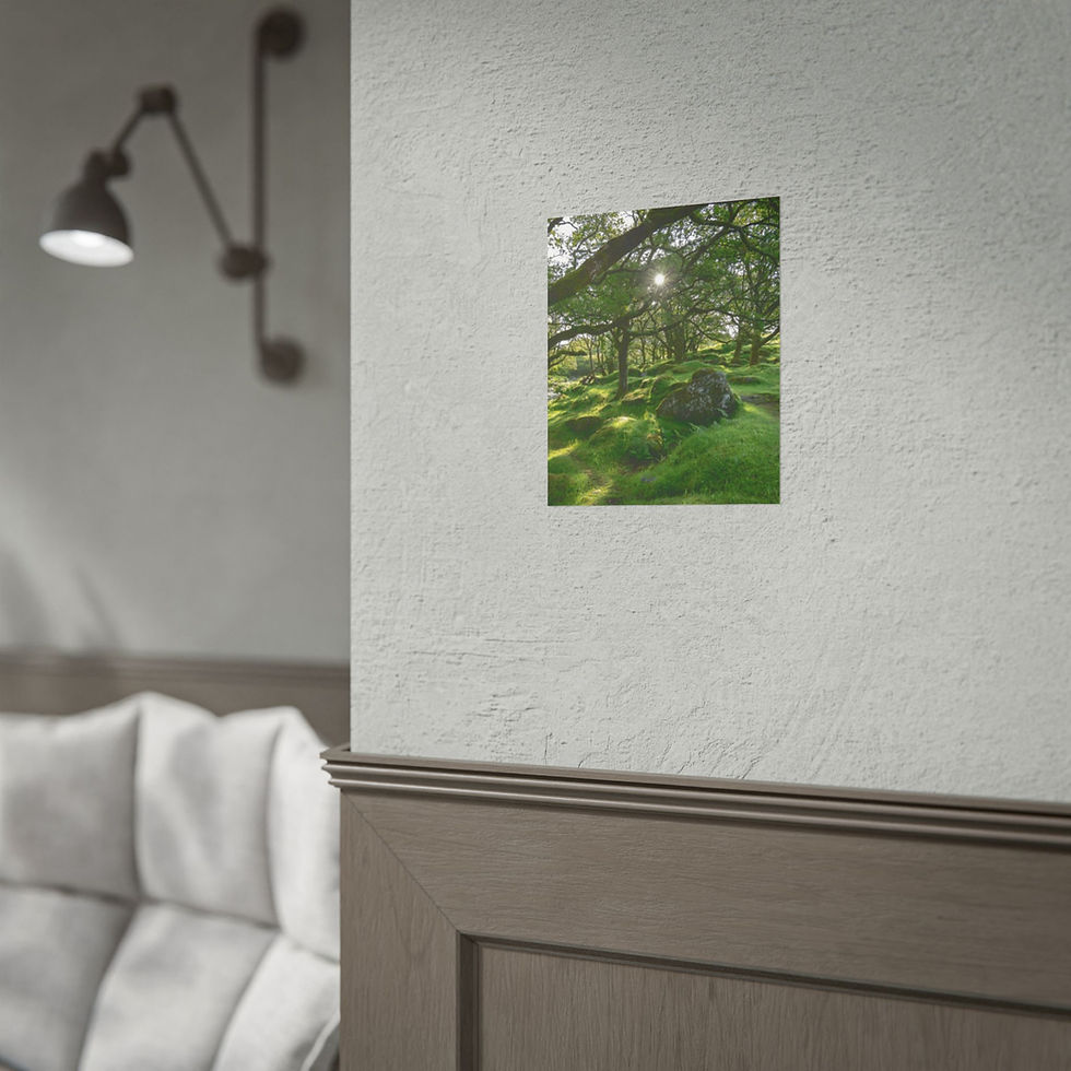 Thumbnail: Framed print of sunlit green mossy garden with ancient trees.
