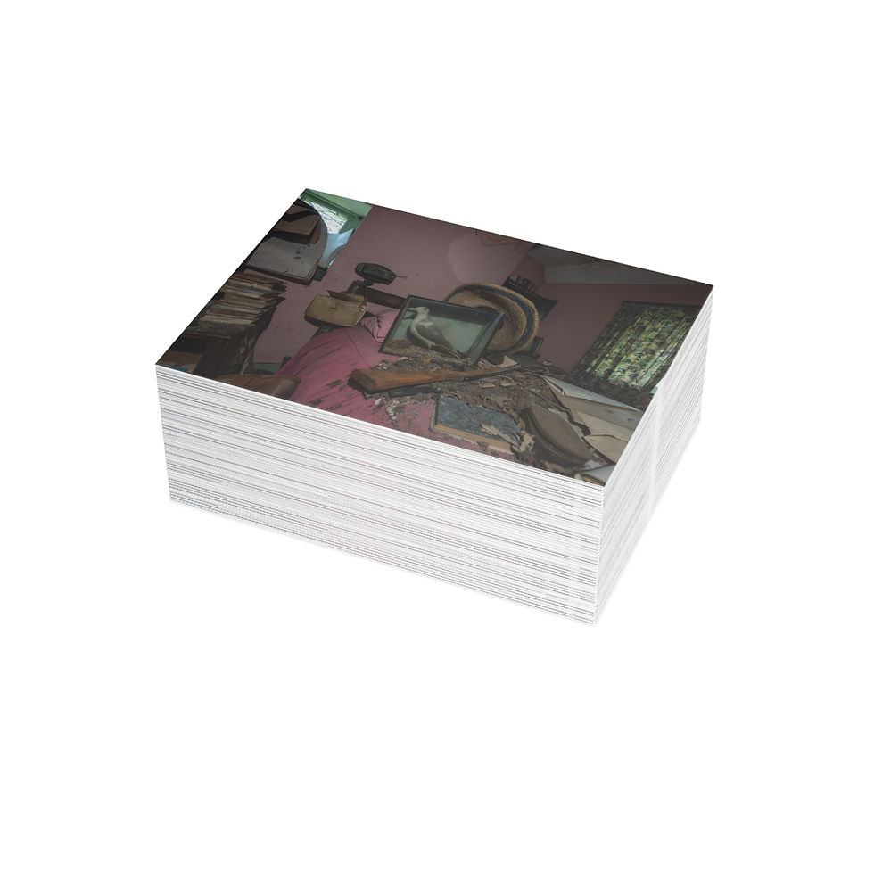 Thumbnail: Taxidermy Seagull - Abandoned House | Greeting Cards - Pack of 1, 10, 30 or 50