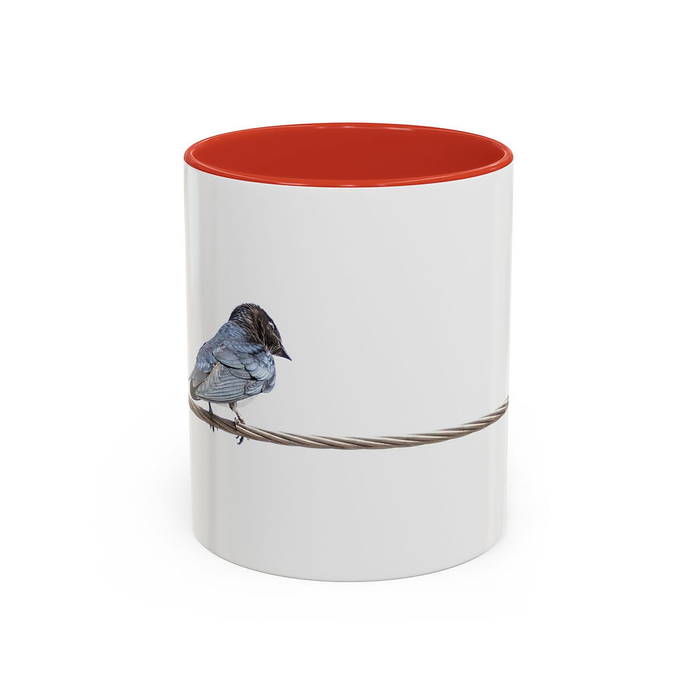 Thumbnail: Coffee Mug - Grey-Breasted Martin on Power Lines