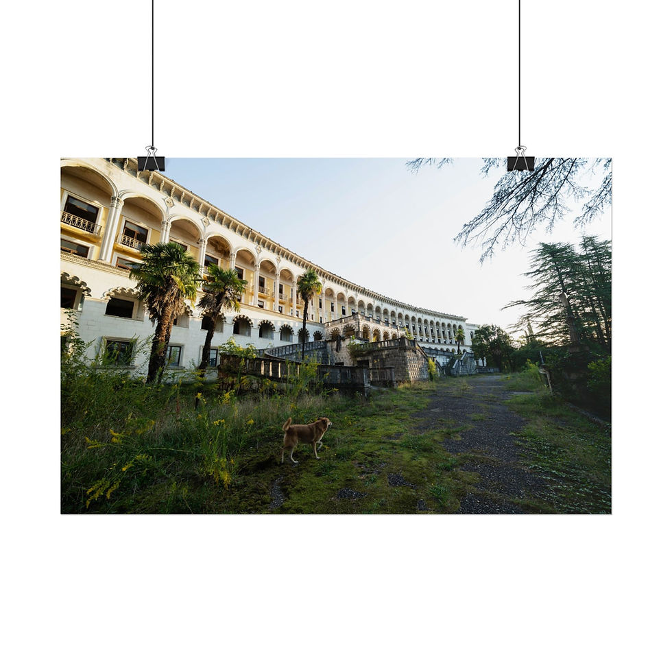 Thumbnail: Curved, decaying grand building with arches, overgrown grass, and a small dog.