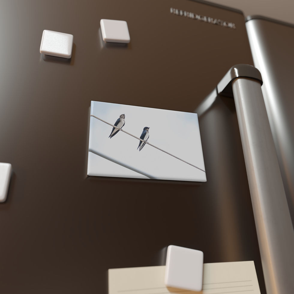 Thumbnail: Refrigerator magnet featuring two birds on a wire, on dark fridge.