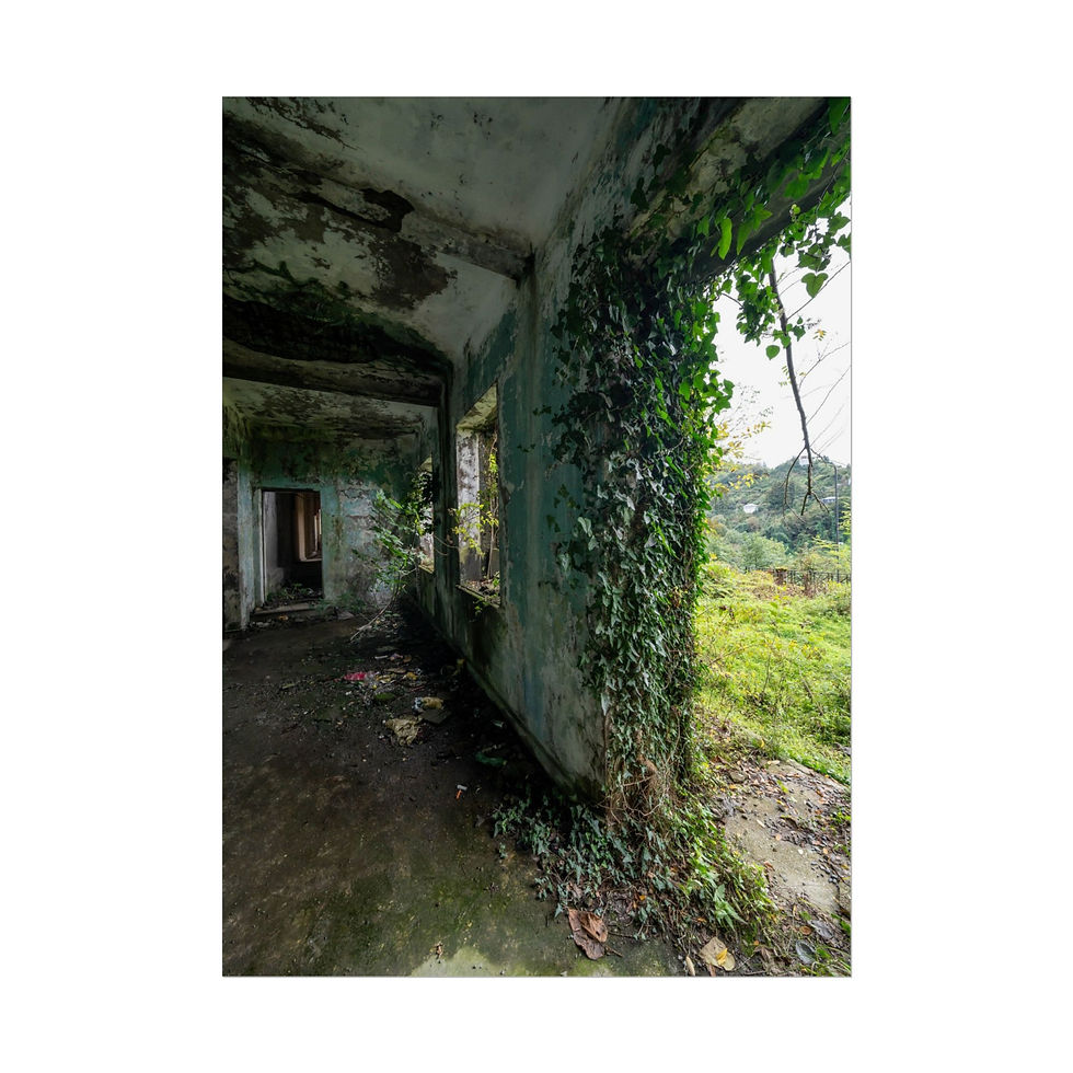 Thumbnail: Abandoned building interior with ivy covering crumbling walls and overgrown floor.