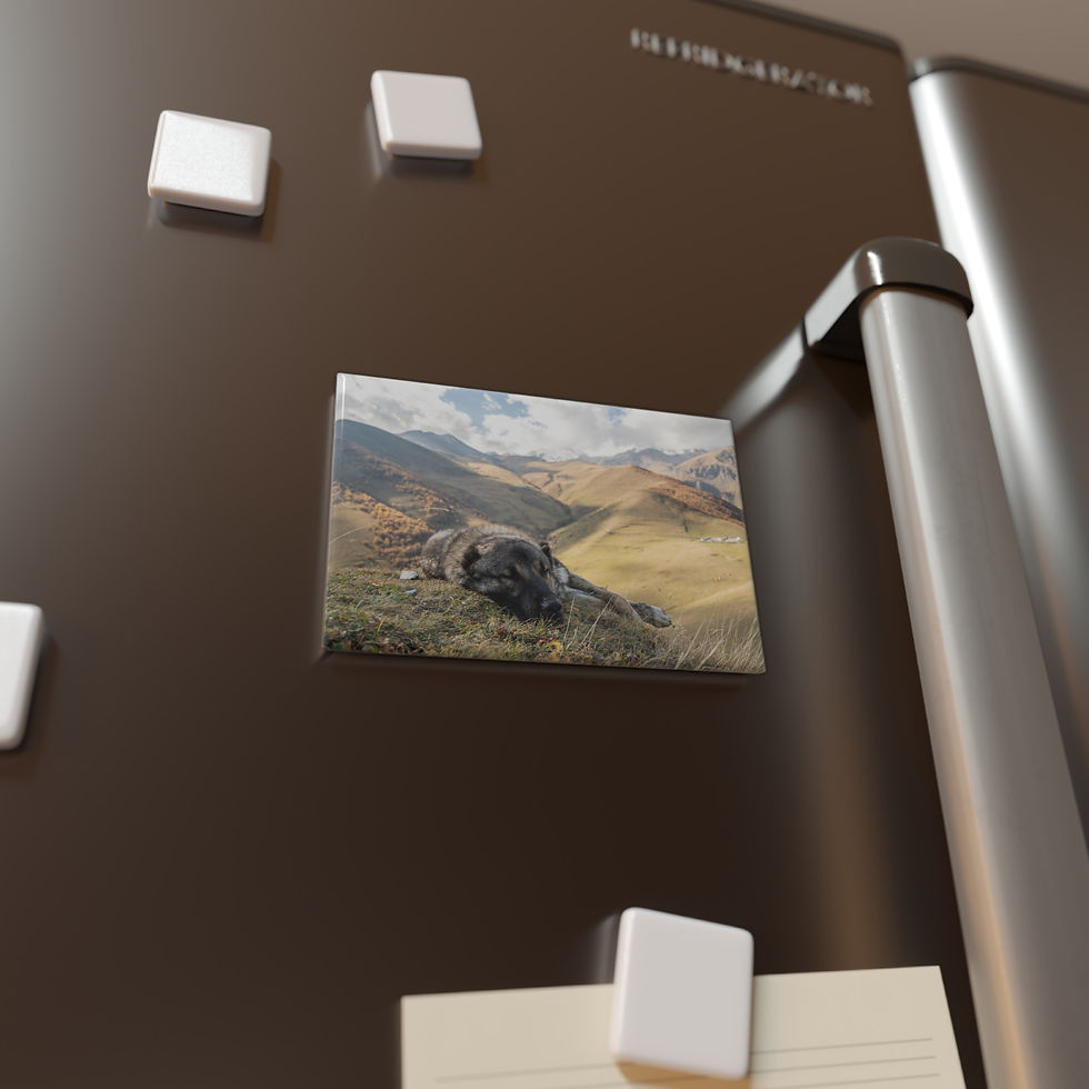 Thumbnail: Travel souvenir magnet: Sleeping Dog in Georgia's Caucasus Mountains landscape.