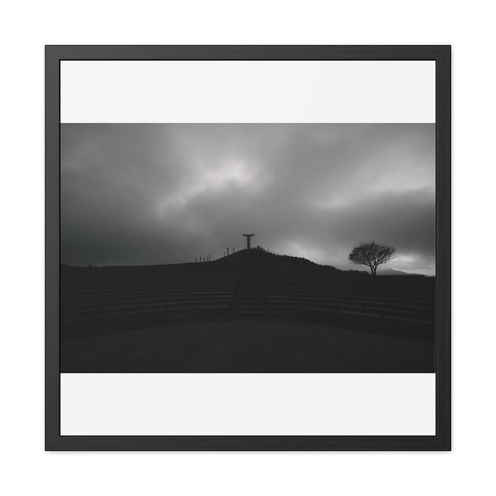 Thumbnail: Framed black and white image: silhouette on hill under dark sky, lone tree.