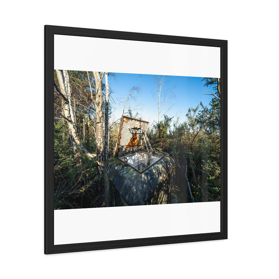 Thumbnail: Rustic wooden shelter framed, nestled in dense forest under blue sky.